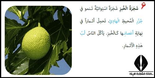 ترجمه درس سوم عربی یازدهم تجربی و ریاضی