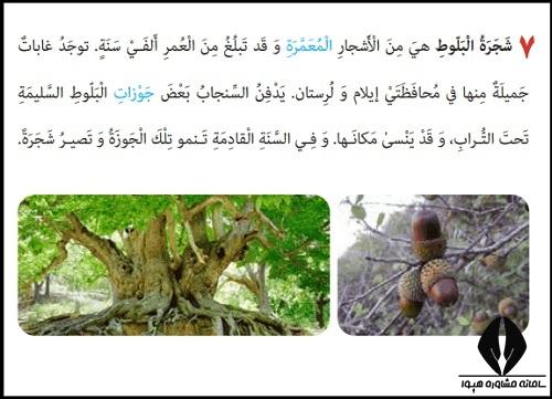 درس سوم عربی یازدهم تجربی و ریاضی