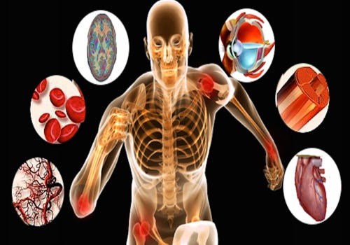 منابع آزمون دکتری تربیت بدنی رفتار حرکتی منابع آزمون دکتری تربیت بدنی رفتار حرکتی