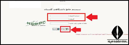 سایت دانشگاه ایلام ilam.ac.ir