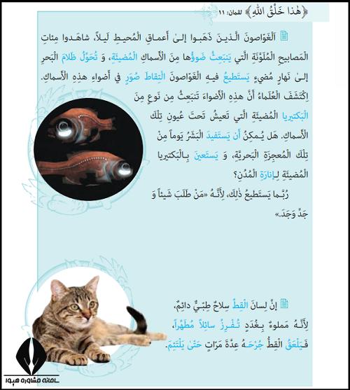 معنی درس پنجم عربی دهم تجربی و ریاضی