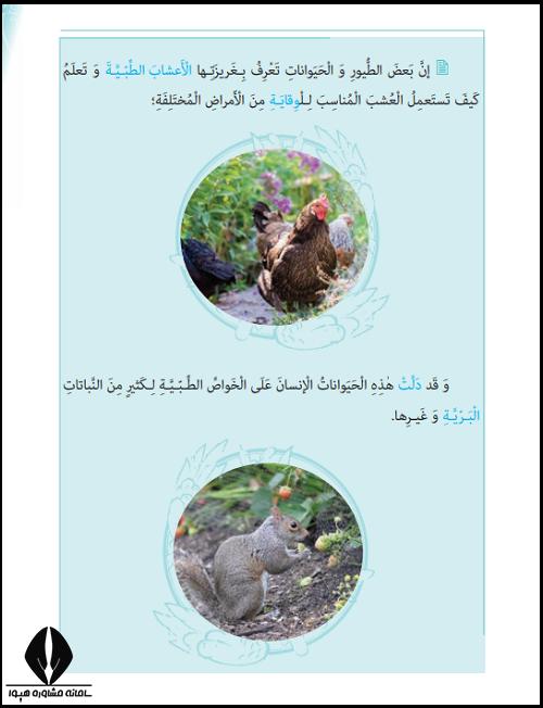 معنی درس پنجم عربی پایه دهم تجربی و ریاضی