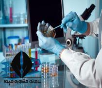 کارنامه قبولی مهندسی شیمی 98 - 99 و حداقل درصد لازم برای مهندسی شیمی سراسری