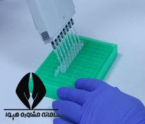 حدنصاب و تراز قبولی دعوت به مصاحبه آزمون دکتری ژنتیک مولکولی دانشگاه آزاد