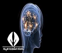 حدنصاب و تراز قبولی دعوت به مصاحبه آزمون دکتری روانشناسی دانشگاه آزاد