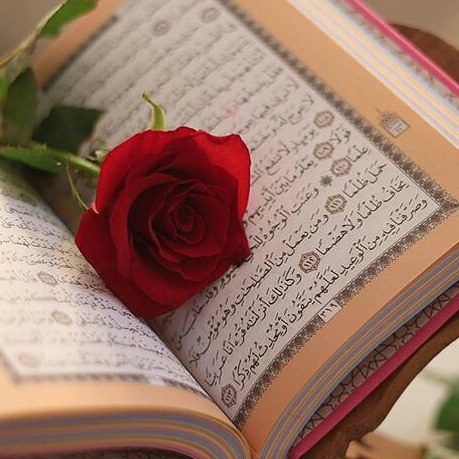راهنمای انتخاب رشته ظرفیت و دانشگاه های کارشناسی ارشد الهیات و معارف اسلامی ( 5 )